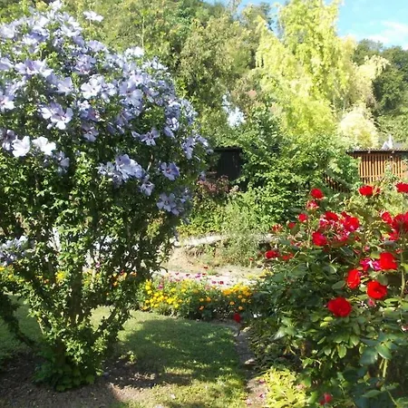 Garden At The House On Bluetenweg Vakantiehuis